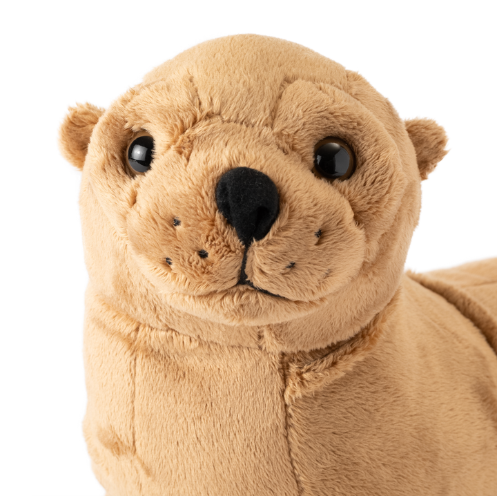 Sea Lion — Stuffed
