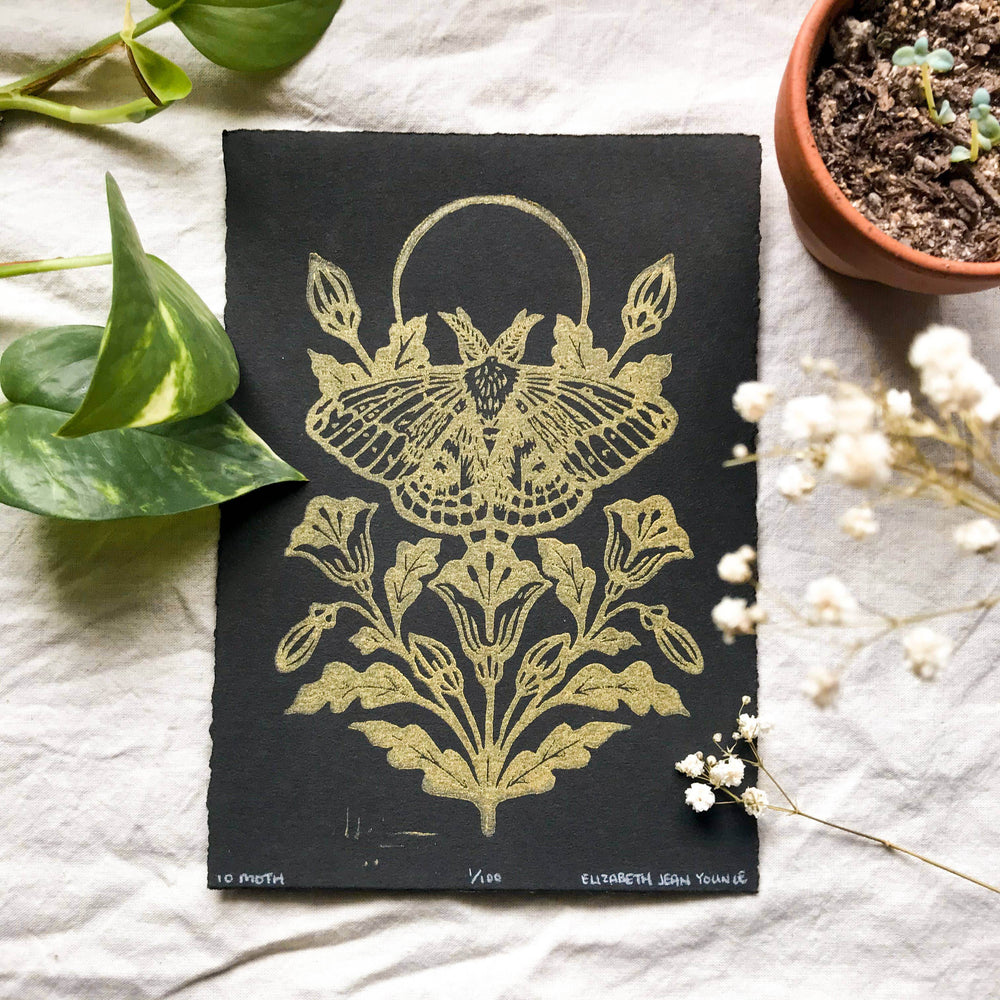 IO Moth & Poppies Handprinted on Handmade Paper - BUNKHAUS