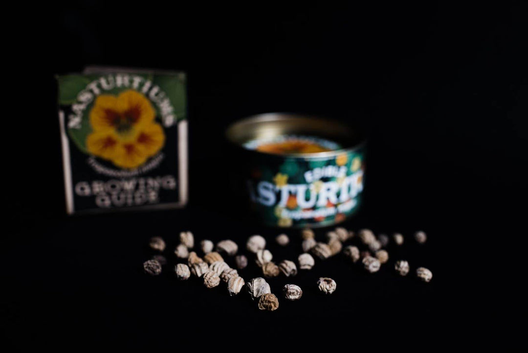 Nasturtium - Flower Seed Grow Kit - BUNKHAUS