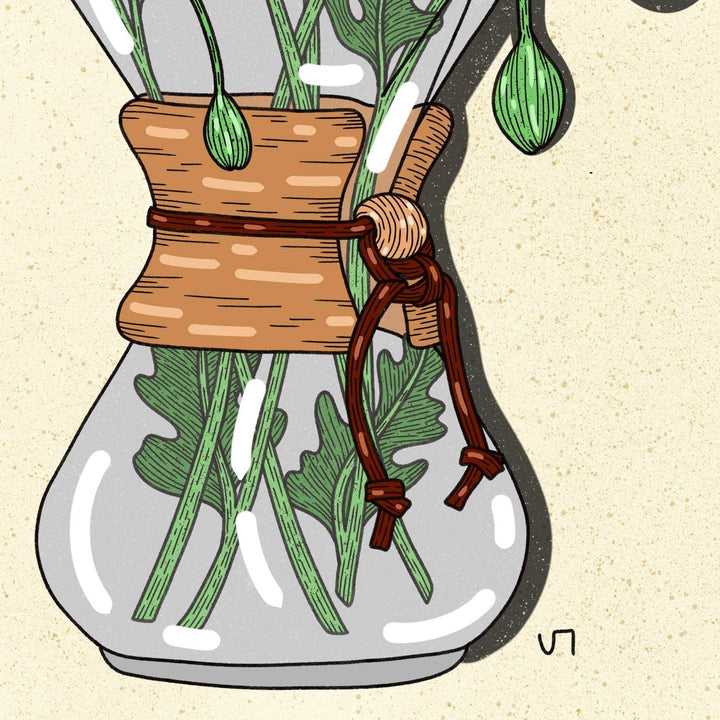 Howdy Studio - Chemex - BUNKHAUS