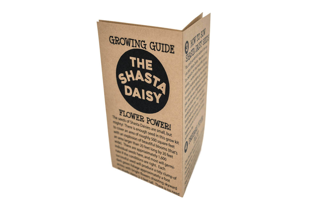 Shasta Daisy - Flower Seed Grow Kit - BUNKHAUS