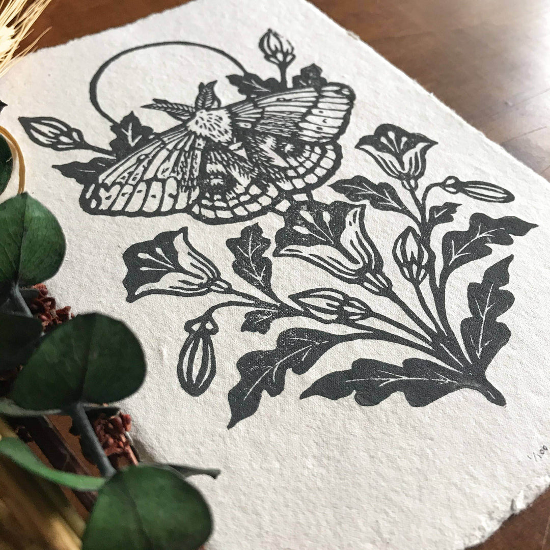 IO Moth & Poppies Handprinted on Handmade Paper - BUNKHAUS