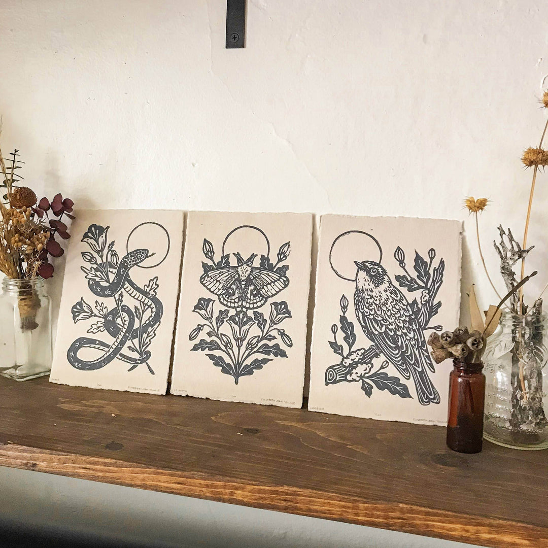 IO Moth & Poppies Handprinted on Handmade Paper - BUNKHAUS