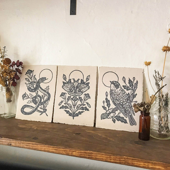 IO Moth & Poppies Handprinted on Handmade Paper - BUNKHAUS