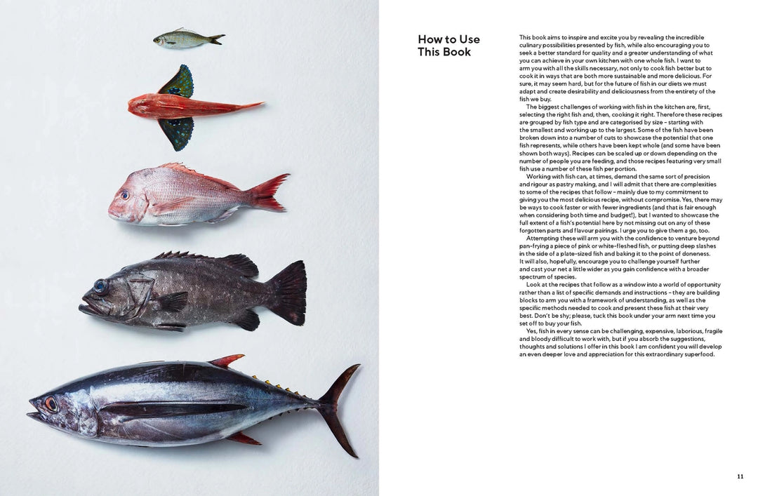 Take One Fish