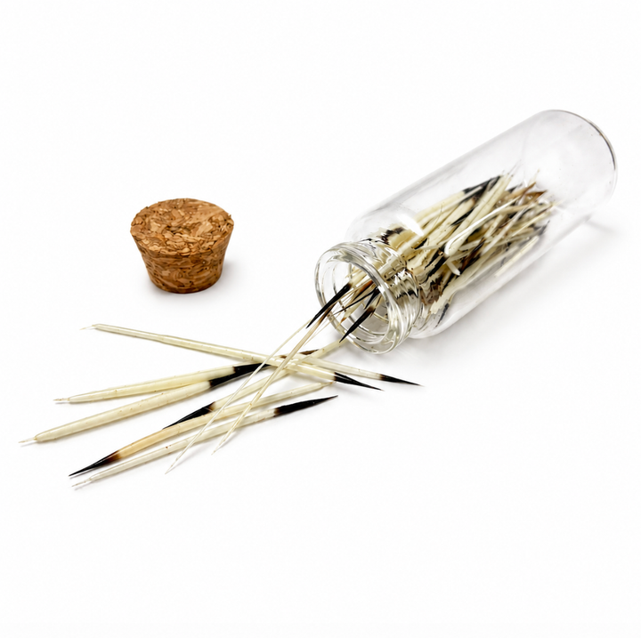 Porcupine Quills in Glass Jar