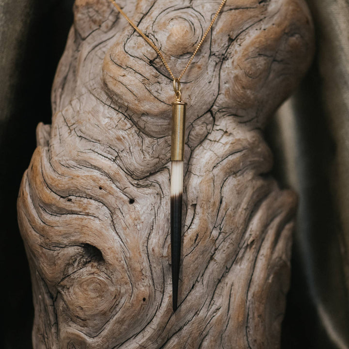 Porcupine Quill Pendant - Brass Chain