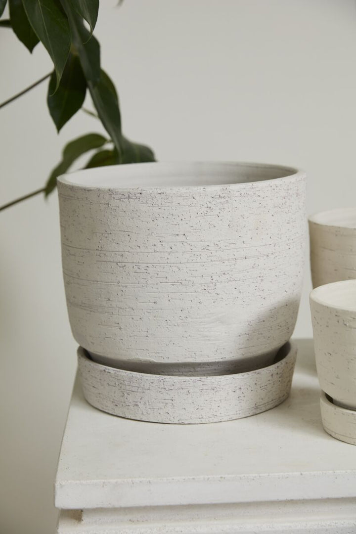Salvage Pot with Saucer