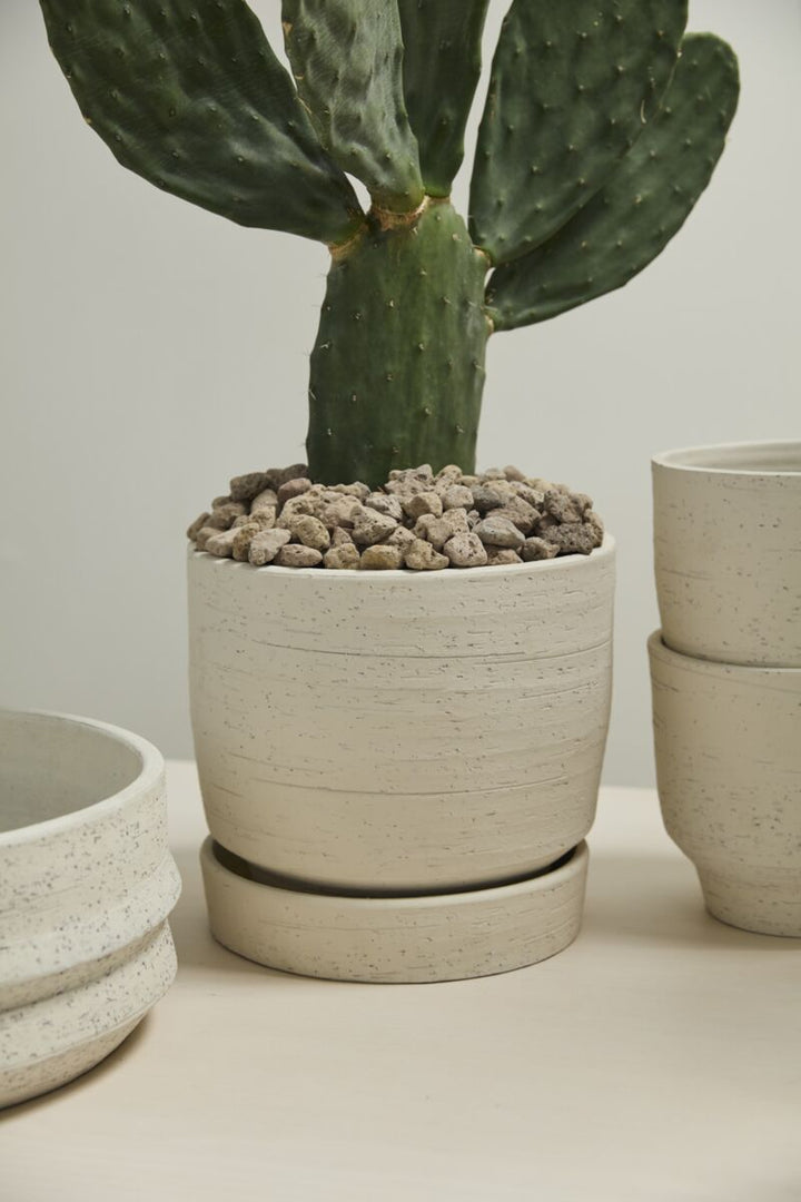 Salvage Pot with Saucer