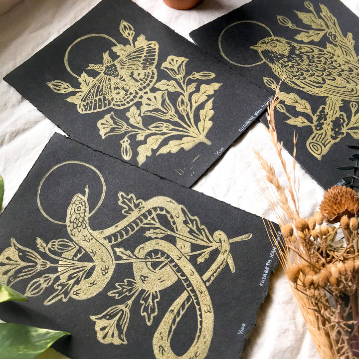 IO Moth & Poppies Handprinted on Handmade Paper - BUNKHAUS