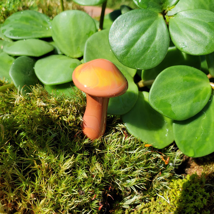 Glass Mushroom Plant Buddy - Rust