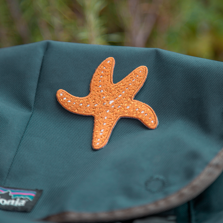 Ochre Sea Star - Iron on Patch