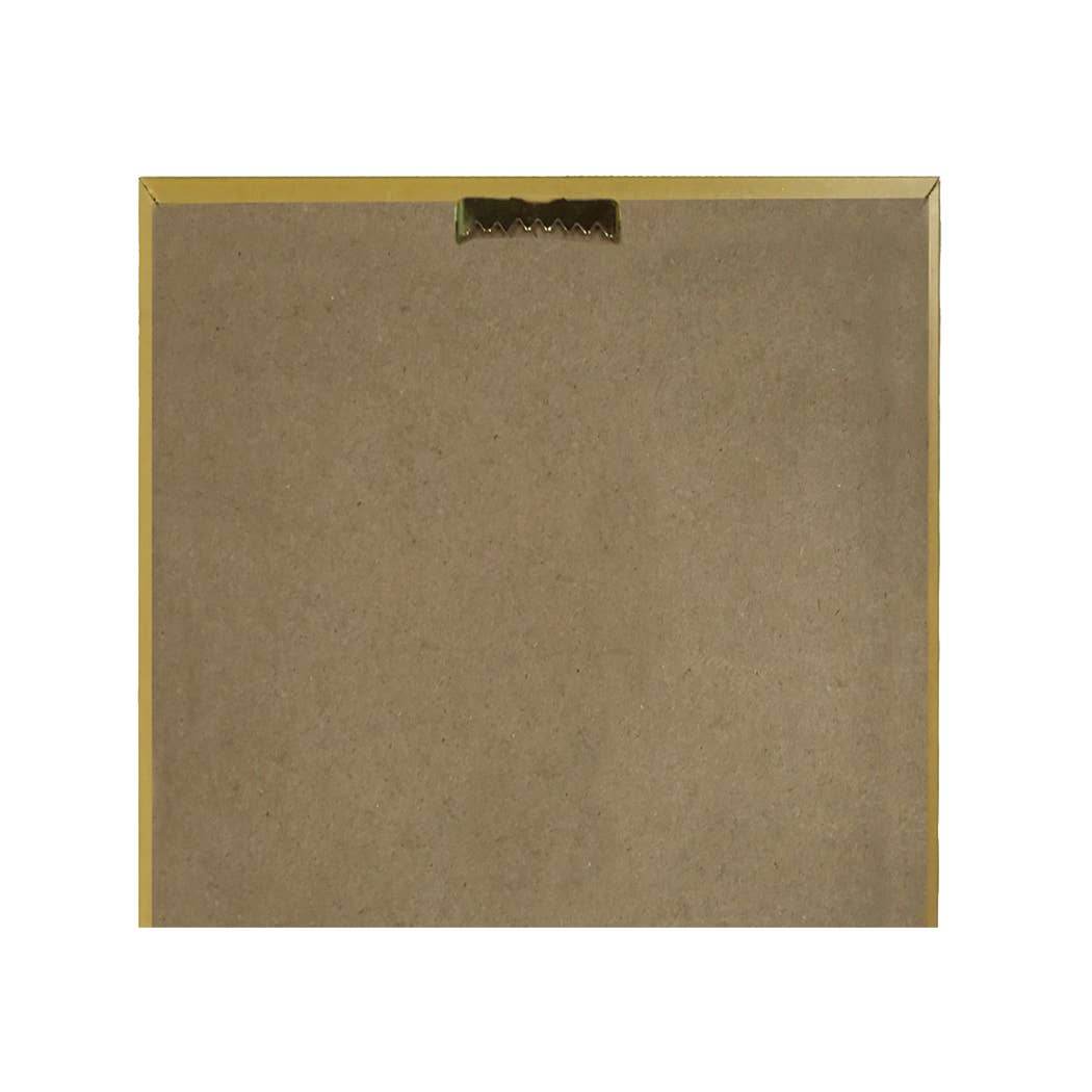 Ag. Muscarius Mushroom Vintage Illustration Framed Print - BUNKHAUS