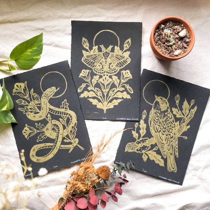 IO Moth & Poppies Handprinted on Handmade Paper - BUNKHAUS