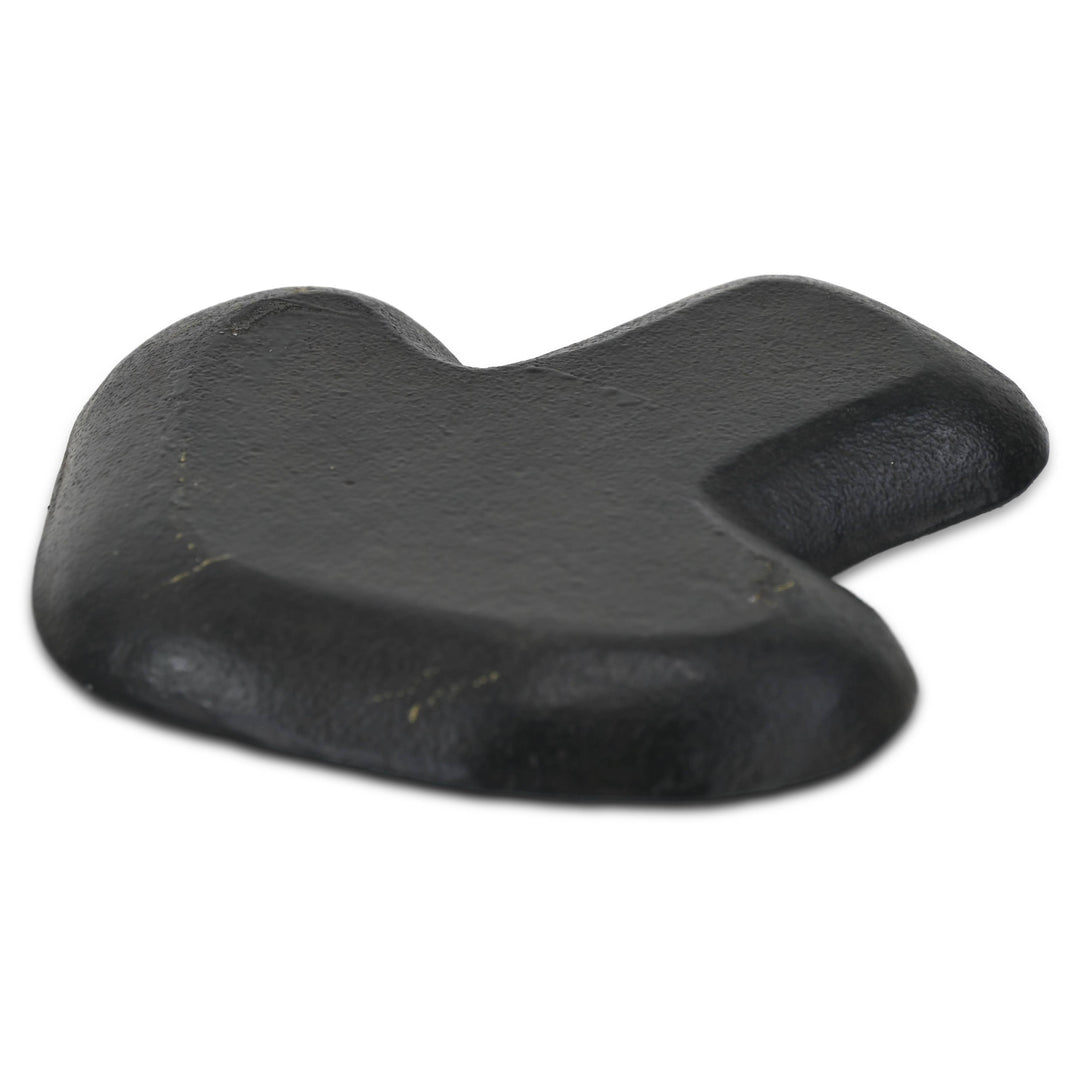 Cast Iron Mushroom Trinket Dish — Black Matte