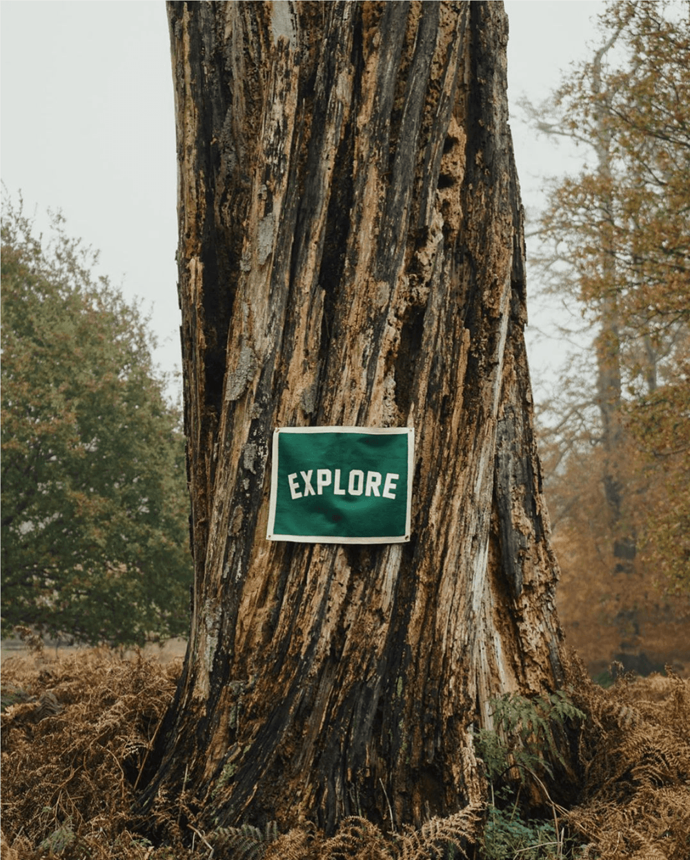 Explore Camp Flag - BUNKHAUS