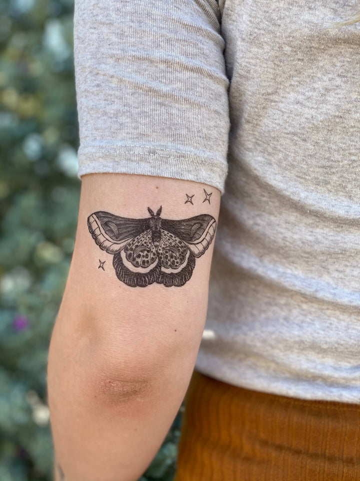 Night Moth Temporary Tattoo