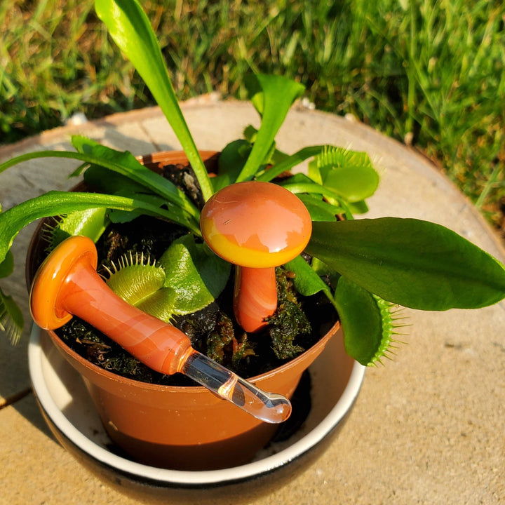 Glass Mushroom Plant Buddy - Rust