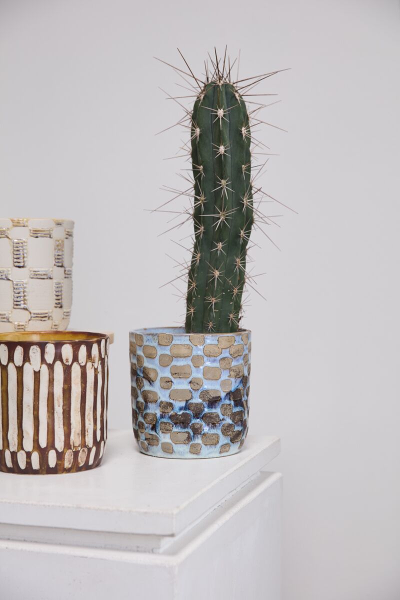 Anselm Pot -  Scales