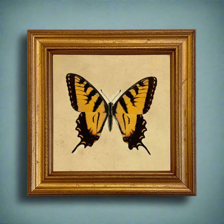 Tiger Swallowtail Butterfly Vintage Style Illustration Print - BUNKHAUS