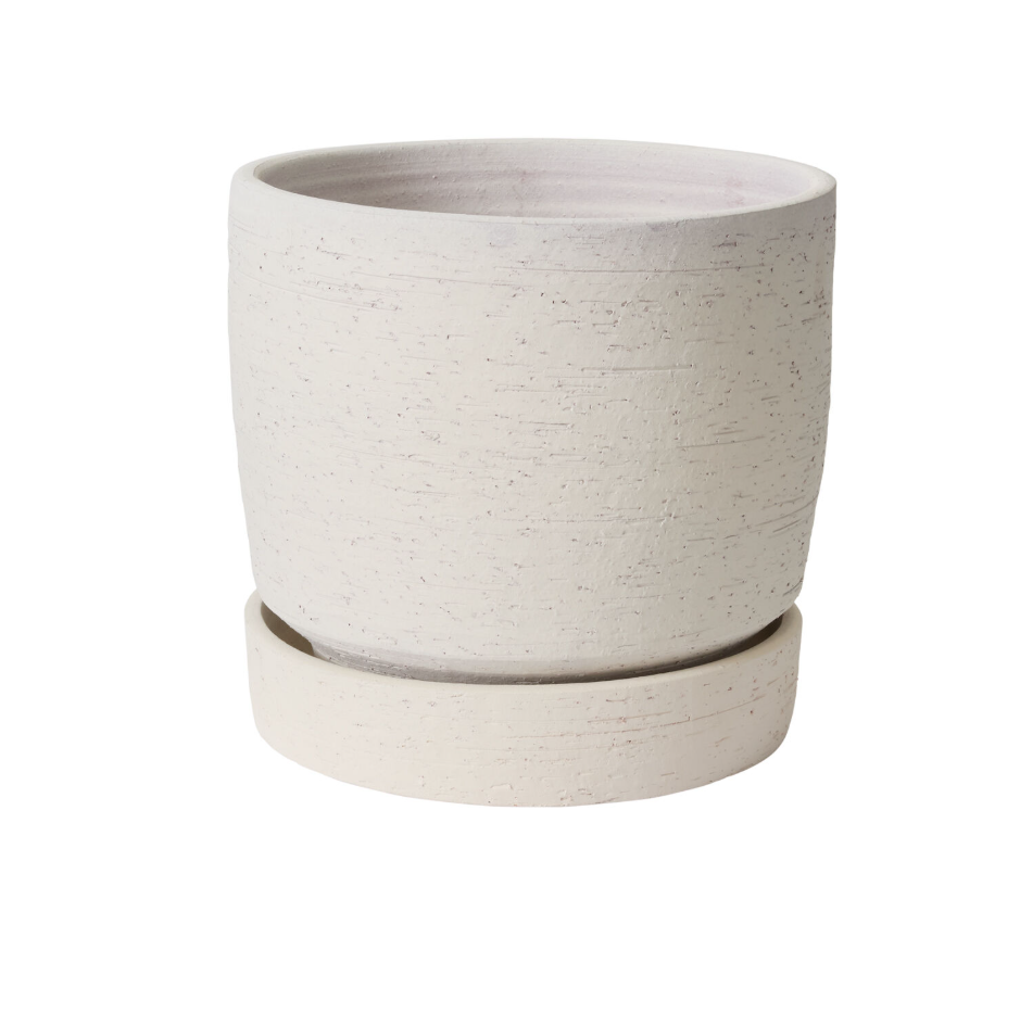 Salvage Pot with Saucer