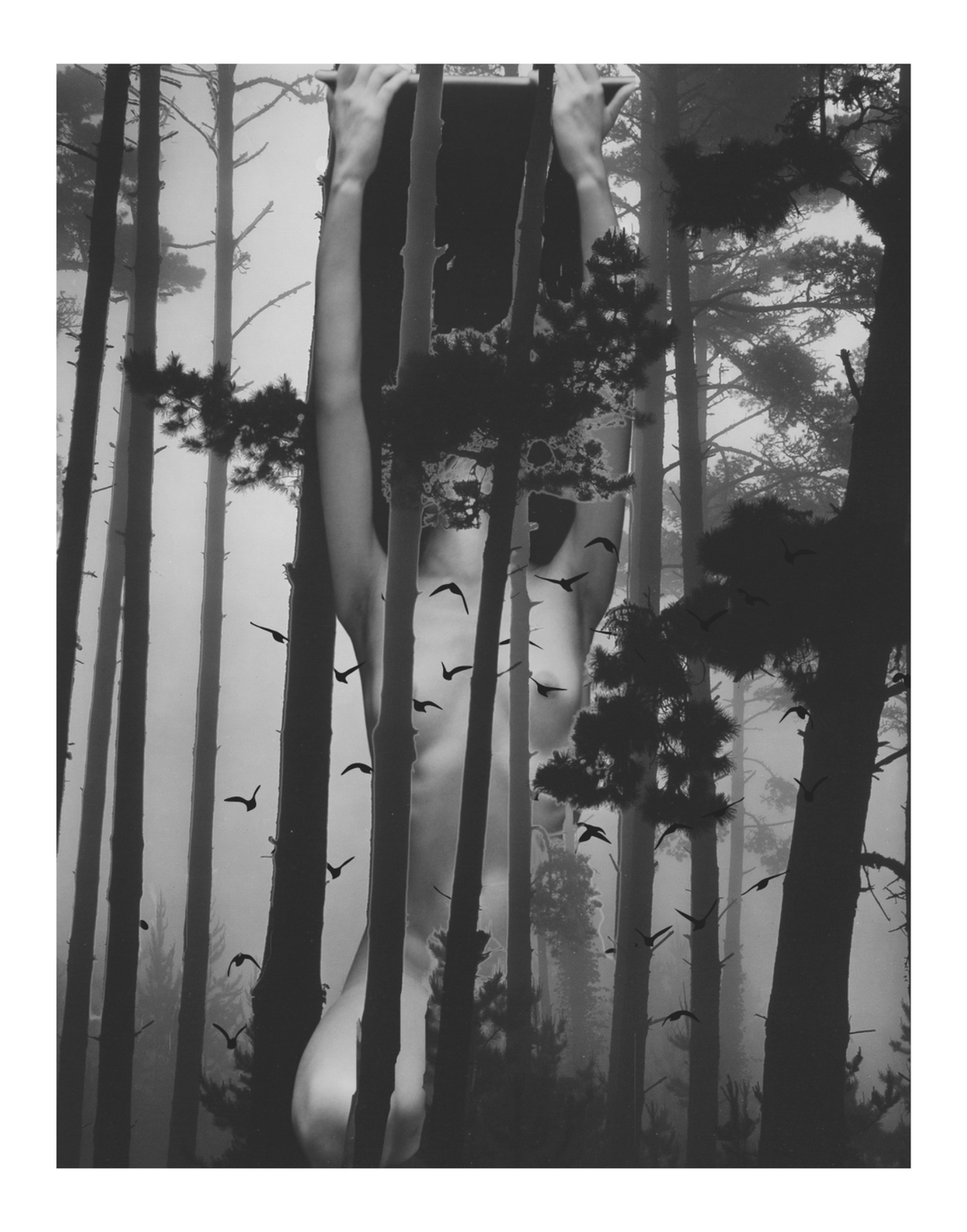 In The Shadows