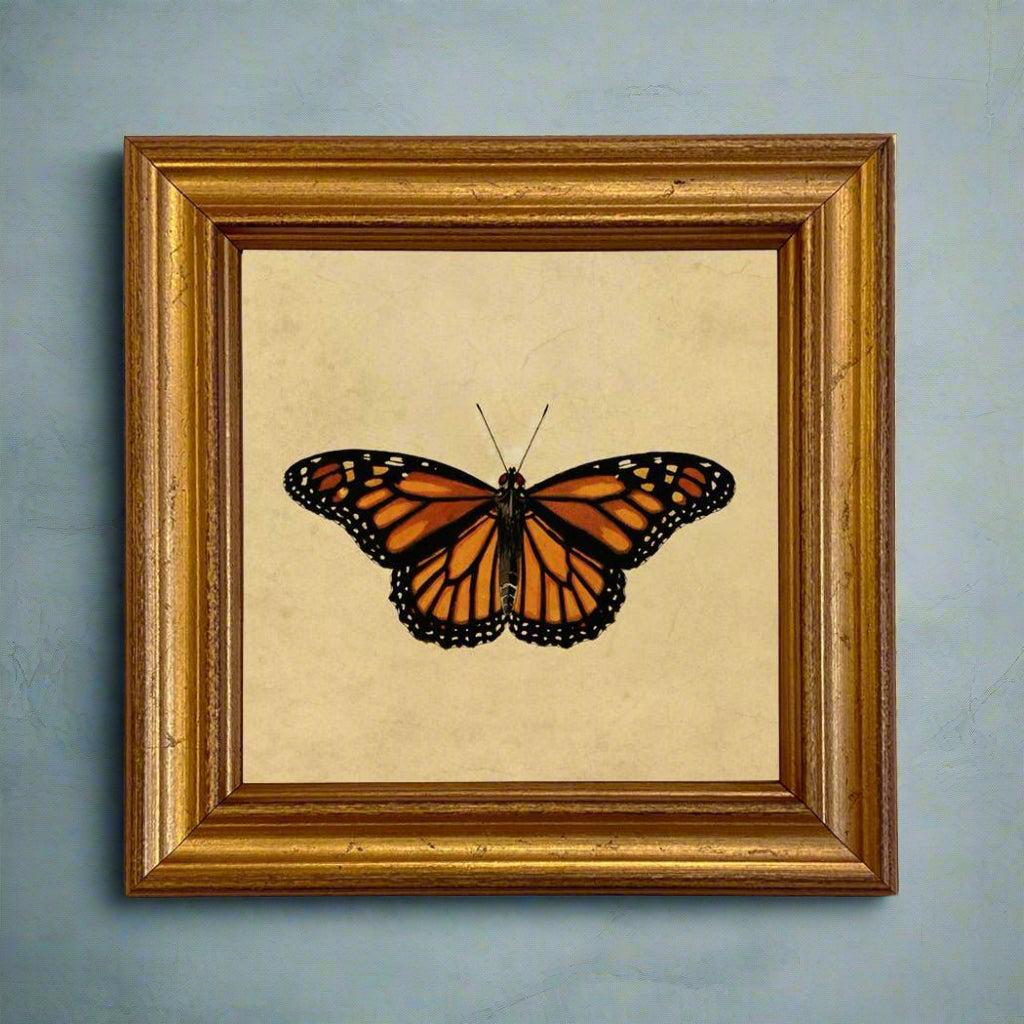 Monarch Butterfly Vintage Style Illustration Framed Print - BUNKHAUS