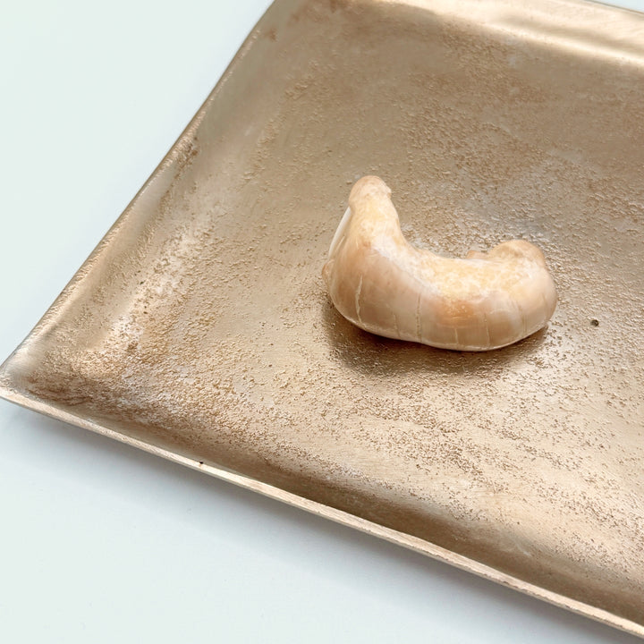 Fossil Walrus Ivory Walrus Carving