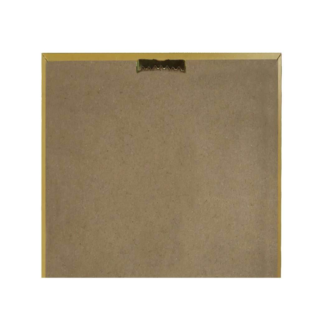 Emperor Moth Vintage Style Illustration Framed Print - BUNKHAUS