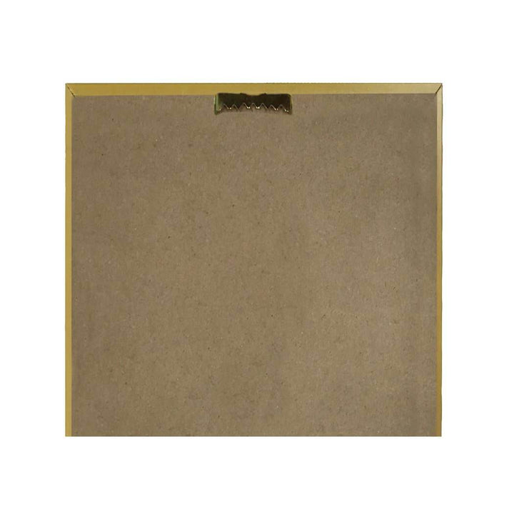 Emperor Moth Vintage Style Illustration Framed Print - BUNKHAUS