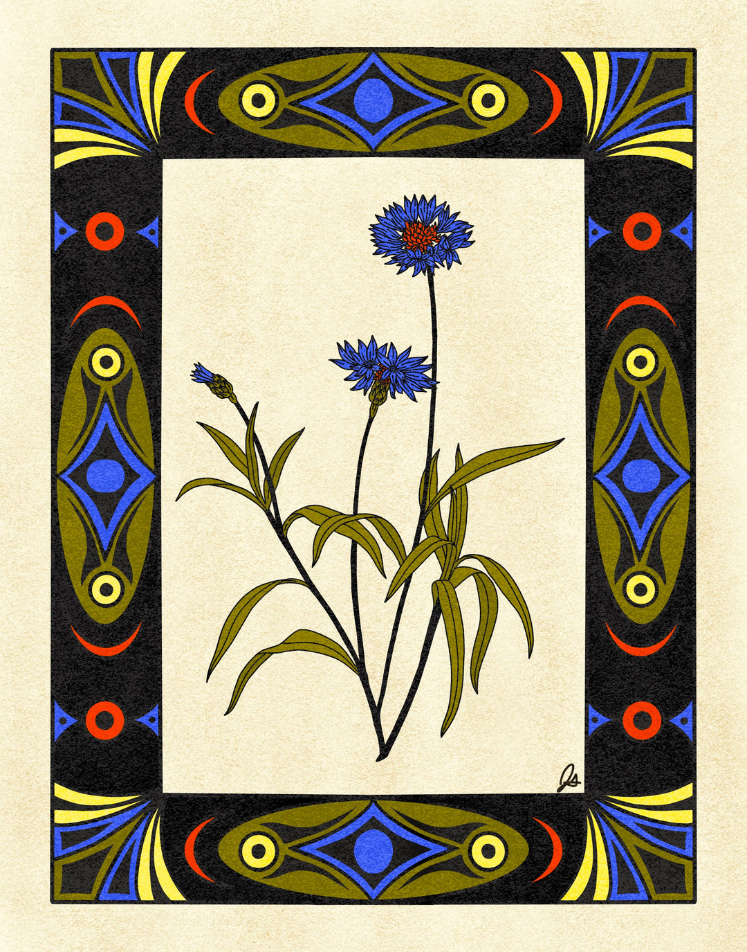 Howdy Studio — Cornflowers