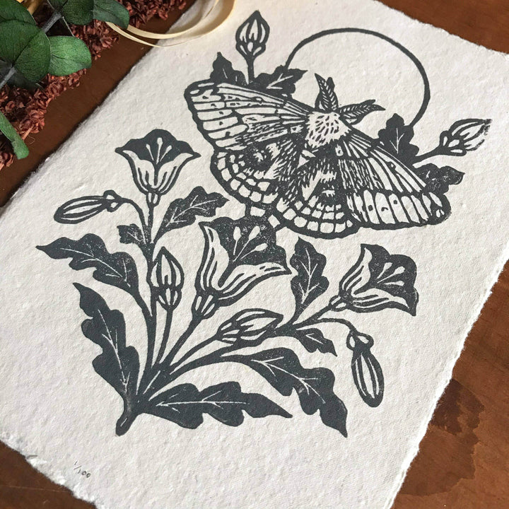 IO Moth & Poppies Handprinted on Handmade Paper - BUNKHAUS
