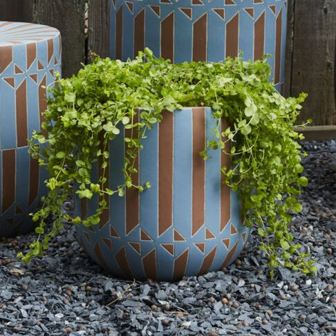 Kaleidoscope Planter
