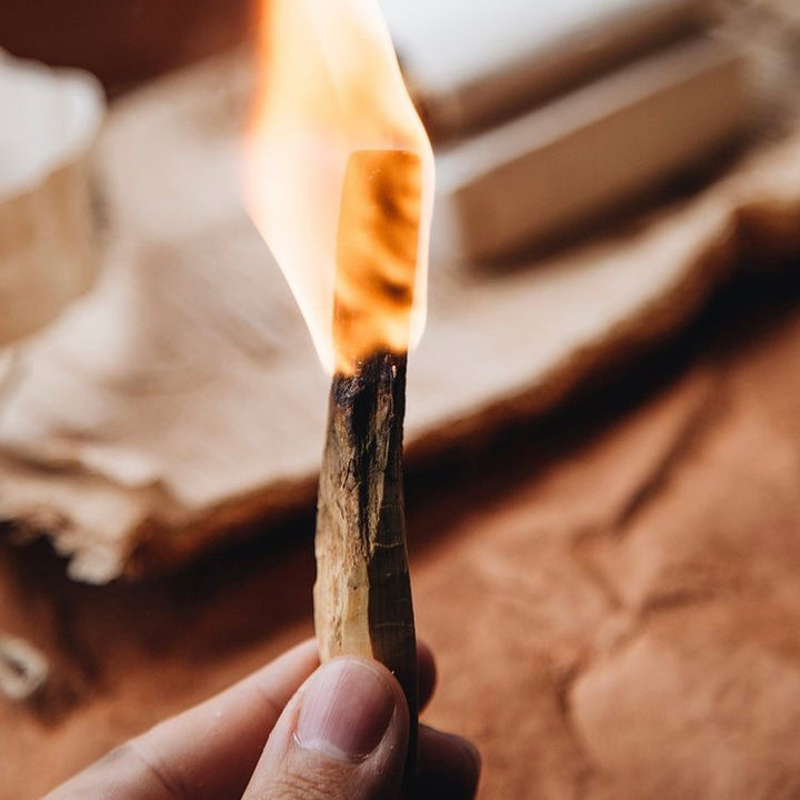 Palo Santo Wood - 3 pack