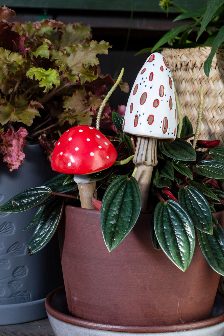 Spore Plant Stick - White